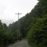 Arılı ENH